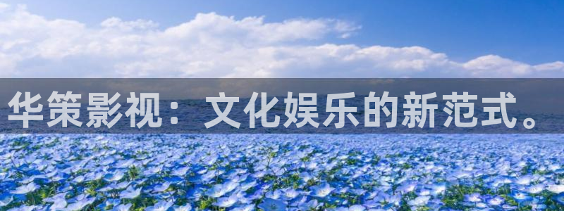 天堂的张望电影在线免费观看