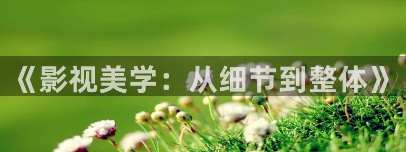 天堂此时电影：《影视美学：从细节到整体》