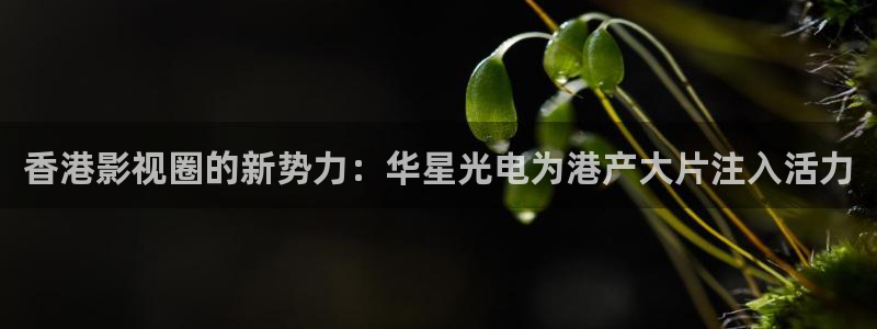 快看影视 电影天堂
