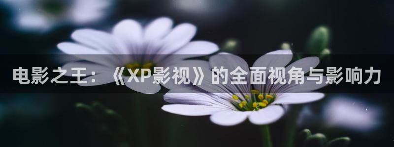 天堂的张望电影免费观看高清完整版